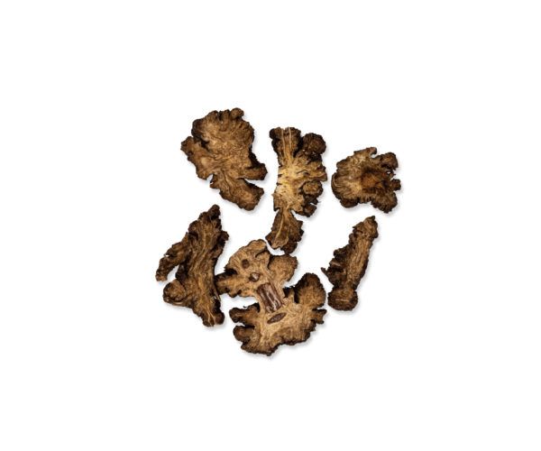 LIGUSTICUM CHUANXIONG CUAN 15 GR WENATURE