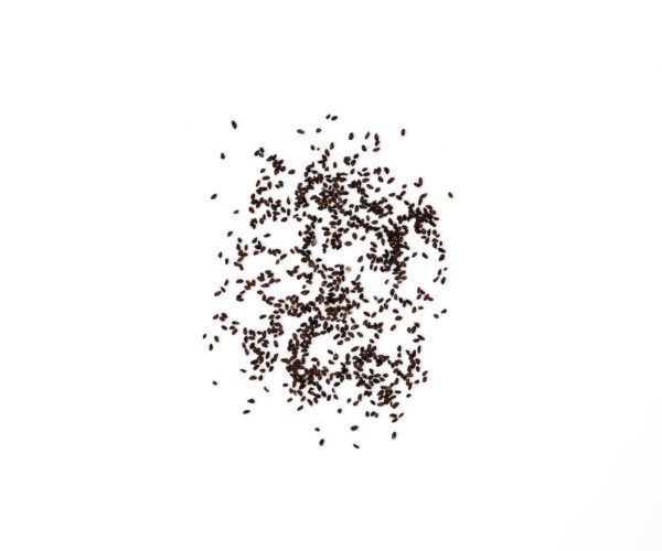 PLANTAGO ASIATICA CHE QIAN Z  15 GRWENATURE