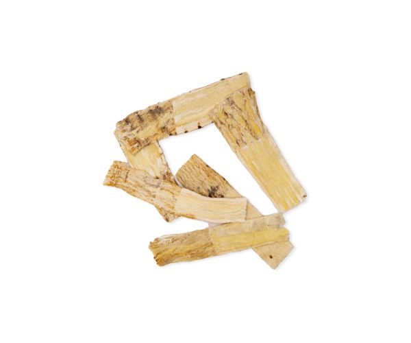 ASTRAGULUS MEMBRANACEUS HUAN 15 GR  WENATURE