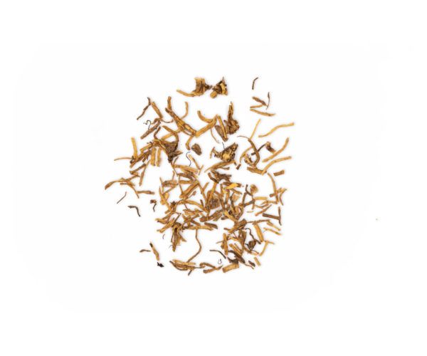 GENTIANA SCABRA LONG DAN 15 GR WENATURE