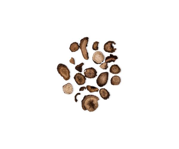 PAEONIA VEITCHII CHI SHAO YA 15 GR WENATURE