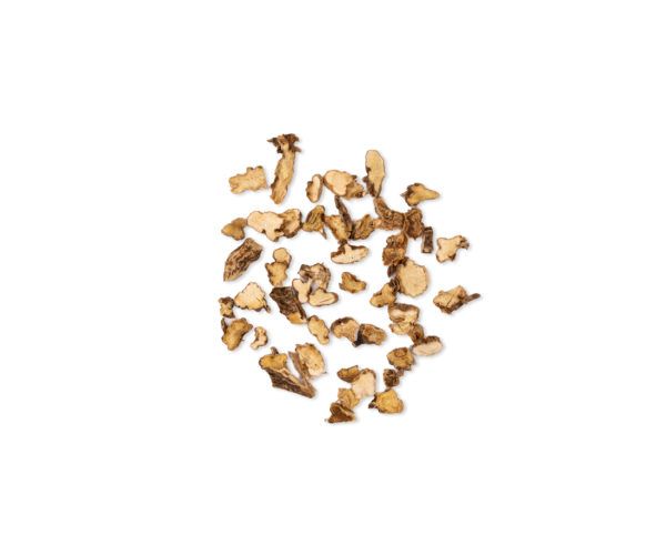 ANEMARREHENA ASPHODELOIDES  ZH 15 GR WENATURE
