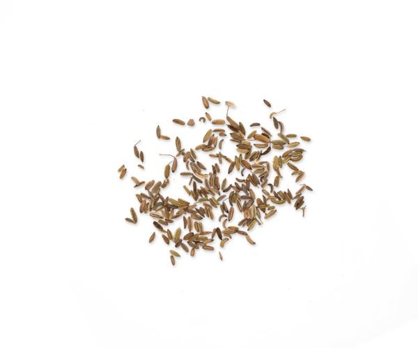 FOENICULUM VULGARE XIAO HUI 15 GR WENATURE