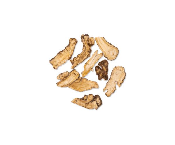 ANGELICA SINENSIS DANG GUI 15 GR WENATURE