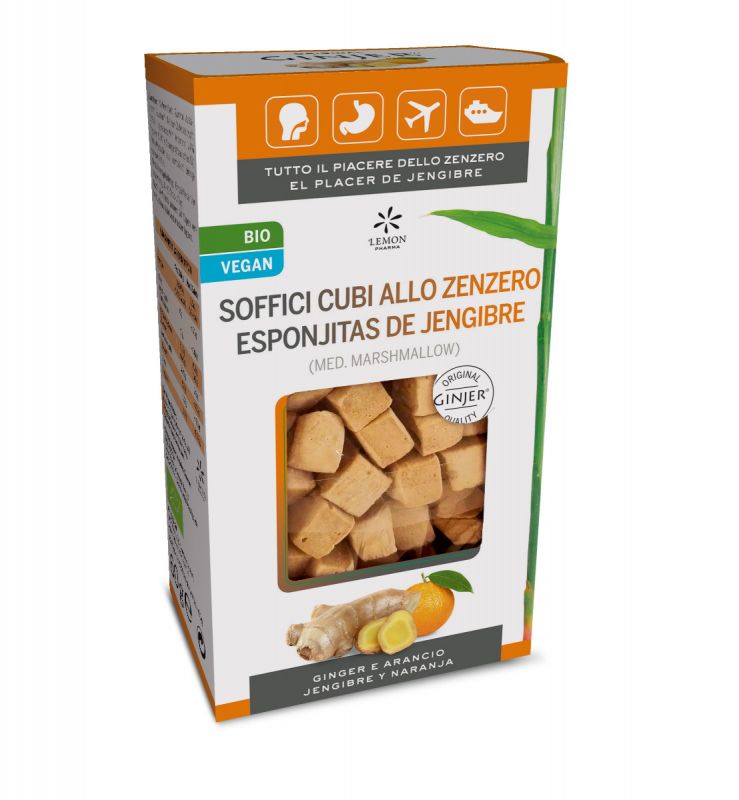 GINJER ESPONJITAS 60 GR BIO CON NARANJA