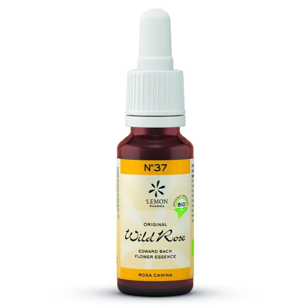 GOTAS BIO BACH WILD ROSE Nº37 20 ML