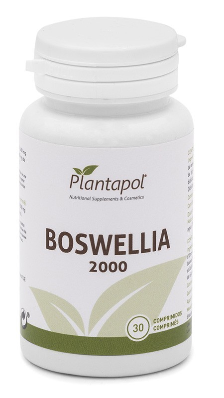BOSWELIA 2000 EXT SECO RESINA 30X2000  PLANTAPOL