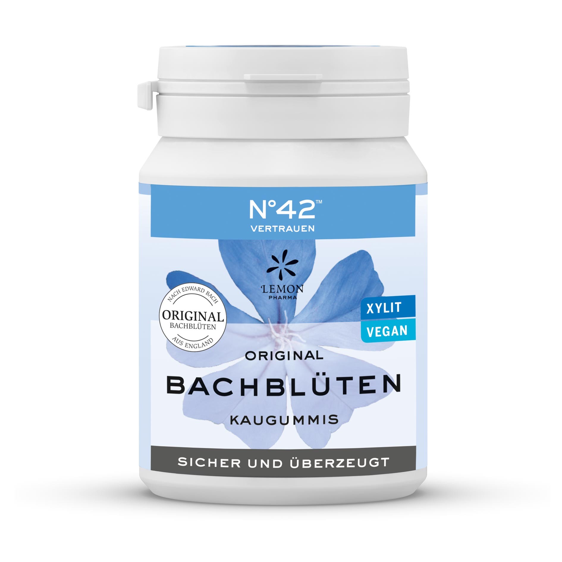 CHICLES BACH Nº42  60 GR CONFIANZA