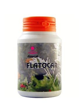 FLATOCAR PLUS 60 CAPSULAS