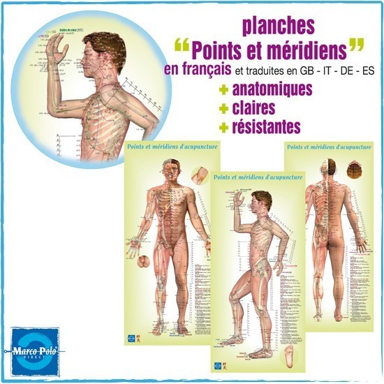 LAMINA ACUPUNTURA HOMBRE