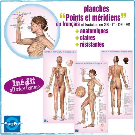 LAMINA ACUPUNTURA MUJER