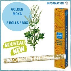 MOXA GOLDEN  MARCO POLO 2 UNI