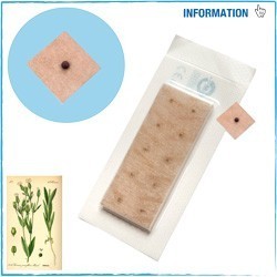 SEMILLA AURICULARES CON ADHESIVO CARNE 100 UNI